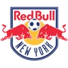 Logo New York Red Bulls