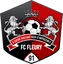 Logo FC Fleury 91 W