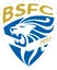 Logo Brescia W
