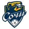Logo FC Sochi