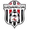 Logo Futbol Consultants Moravia