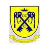 Logo Cwmbran Celtic