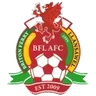 Logo Briton Ferry