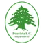 Logo Boavista SC