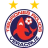 Logo Veracruz