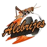 Logo Alebrijes de Oaxaca