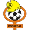 Logo Cobresal