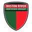 Logo Boston River