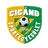 Logo Cigand SE