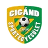 Logo Cigand SE