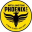 Logo Wellington Phoenix II