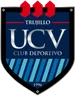 Logo Cesar Vallejo