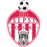 Logo Sepsi OSK Sfantu Gheorghe