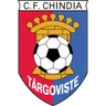 Logo Chindia Targoviste