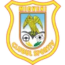 Logo CS Mioveni