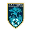 Logo Nantong Zhiyun