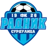 Logo Radnik Surdulica