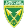 Logo Golden Arrows
