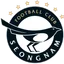 Logo Seongnam FC