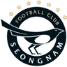 Logo Seongnam FC