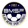 Logo Blanc Mesnil