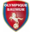 Logo Saumur