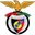 Logo Penya Encarnada