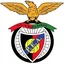 Logo Penya Encarnada