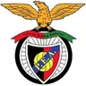 Logo Penya Encarnada