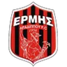 Logo Ermis