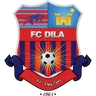 Logo Dila
