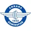 Logo Ankara Demirspor