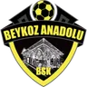 Logo Beykoz Anadolu