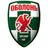 Logo Obolon'-Brovar