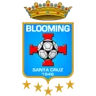 Logo Blooming