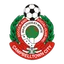 Logo Campbelltown City