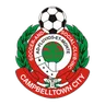 Logo Campbelltown City