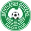 Logo Bentleigh Greens
