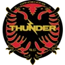 Logo Dandenong Thunder
