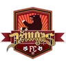 Logo Džiugas Telšiai