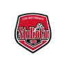 Logo SteDoCo