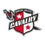 Logo Brazos Valley