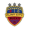 Logo Flint City Bucks