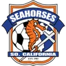 Logo Seahorses