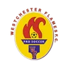 Logo Westchester Flames