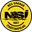 Logo NSÍ II