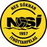 Logo NSÍ II