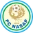 Logo Nasaf