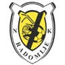 Logo Radomlje