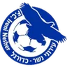 Logo Ironi Nesher